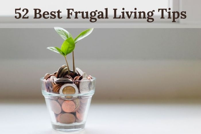 Frugal