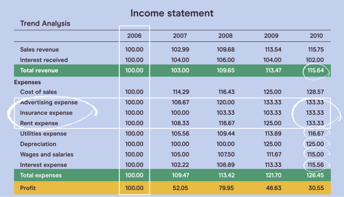 Financial statements analyze